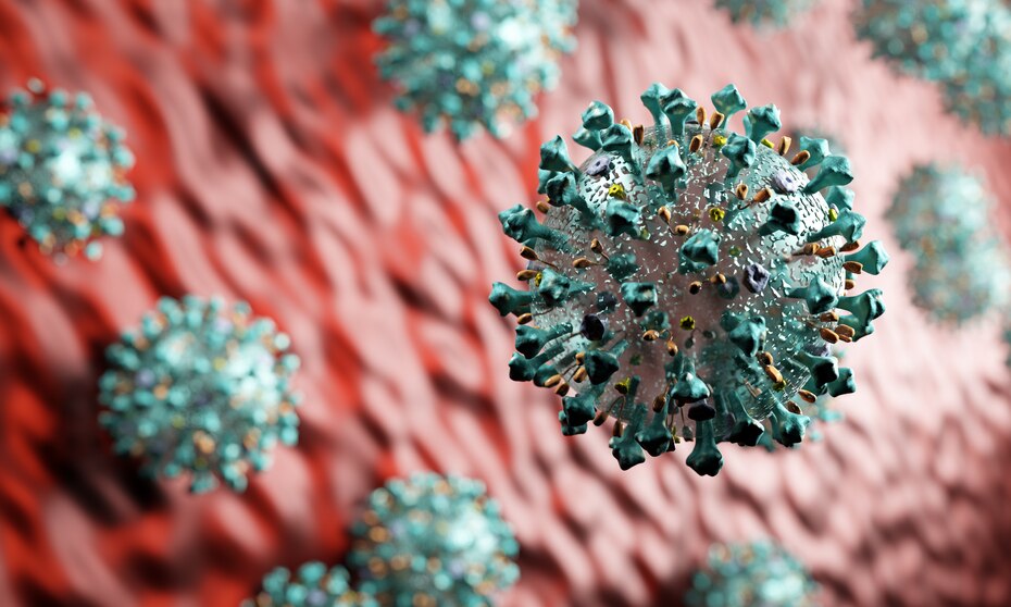 This image has an empty alt attribute; its file name is coronavirus-attack-in-microscopic-view-virus-from-7n84xku.jpg